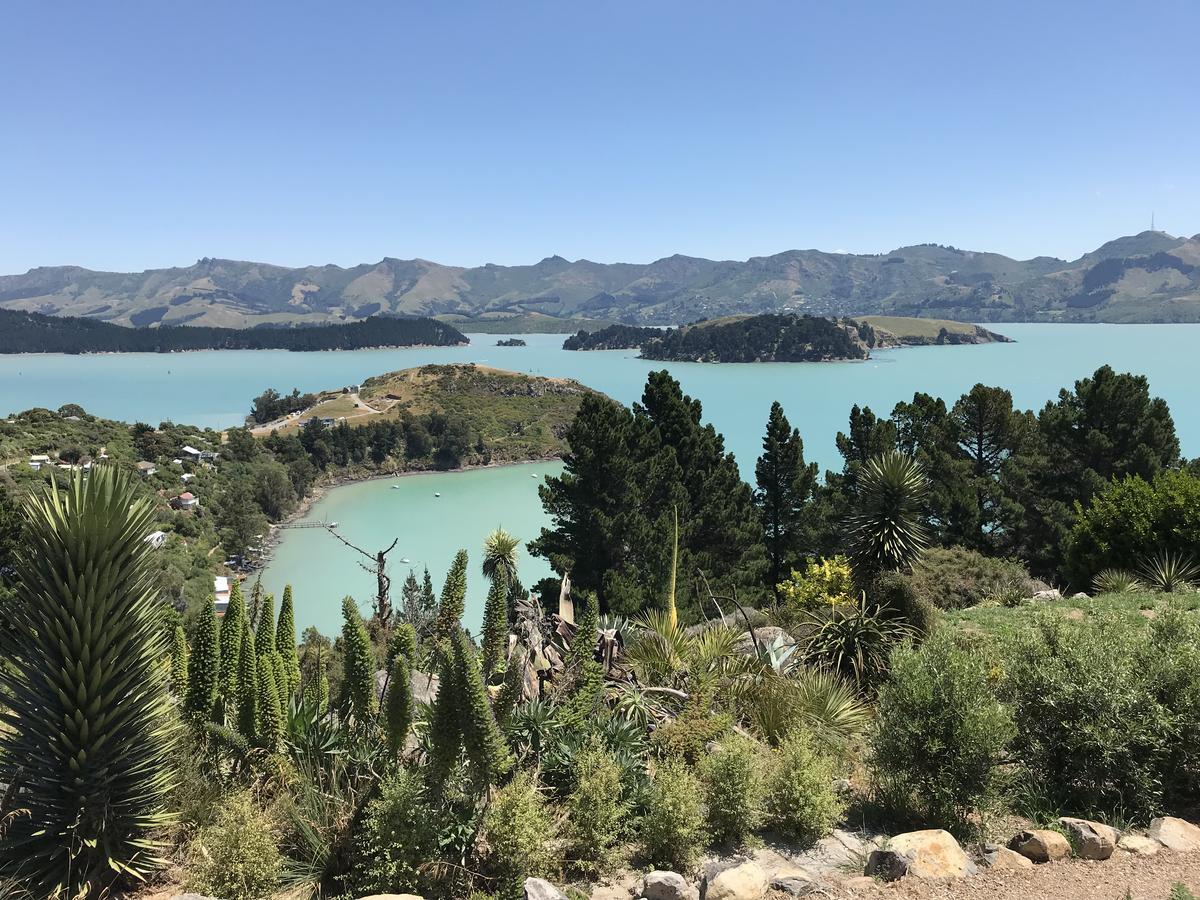 LytteltonChurch Bay Cabin: Sunny, Great Viewsアパートメント エクステリア 写真